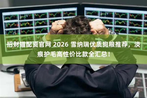 招财猫配资官网 2026 雪纳瑞优质狗粮推荐，淡痕护毛高性价比款全汇总！