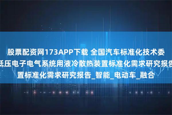 股票配资网173APP下载 全国汽车标准化技术委员会：2025年汽车低压电子电气系统用液冷散热装置标准化需求研究报告_智能_电动车_融合